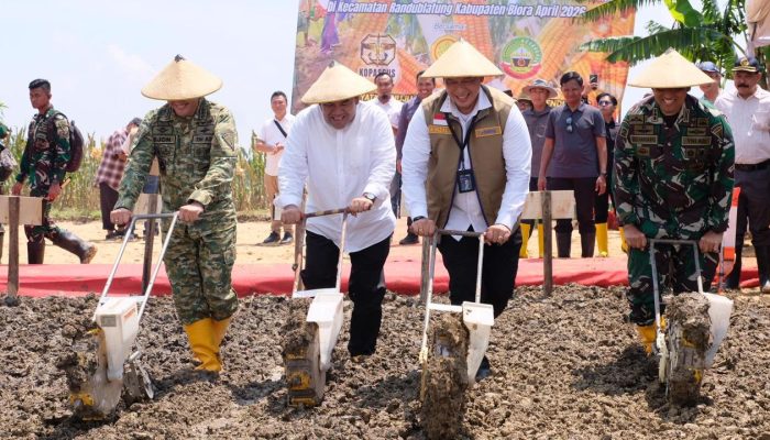 Kopassus Turun Tangan, Blora Disiapkan Jadi Lumbung Jagung Nasional