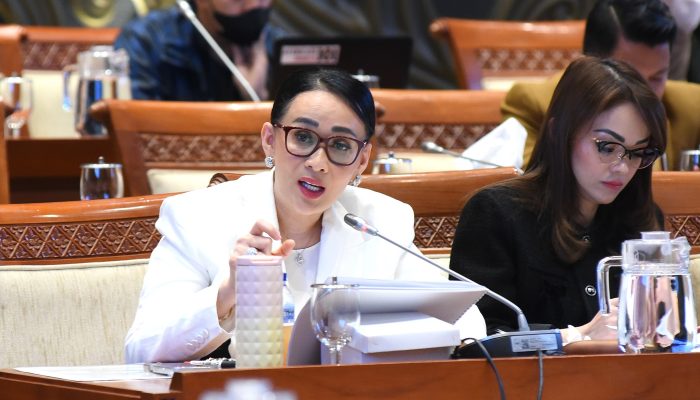 DPR Kembali Serukan Sanksi Tegas Israel atas Serangan TNI