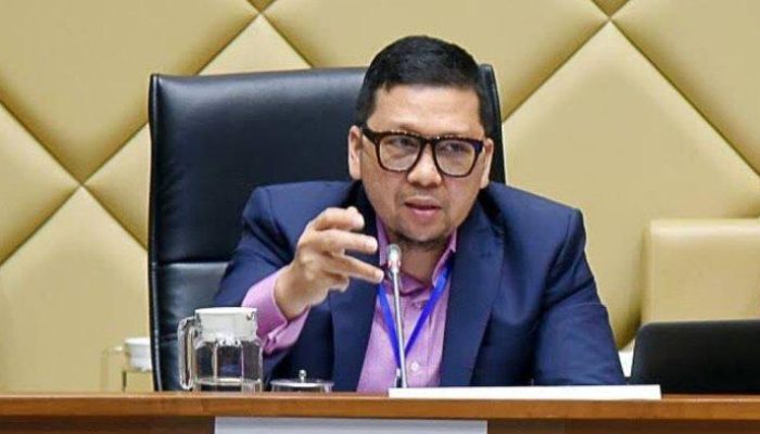 Doli Kurnia Dorong Revisi UU Parpol, Perkuat Tata Kelolanya