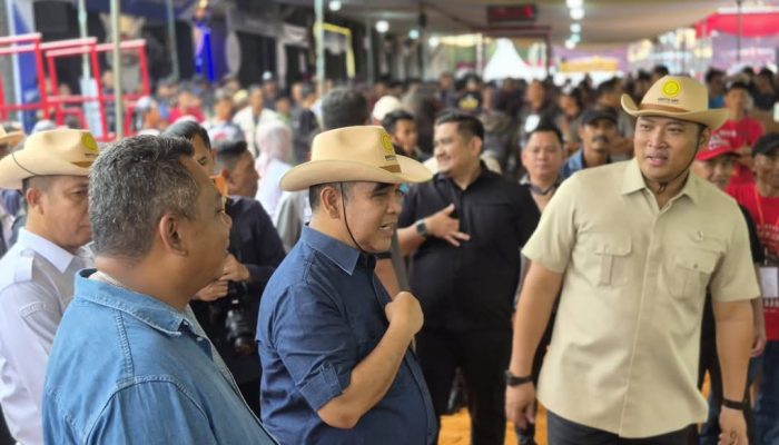 Wamentan Minta Sapi Betina Produktif Tidak Dipotong