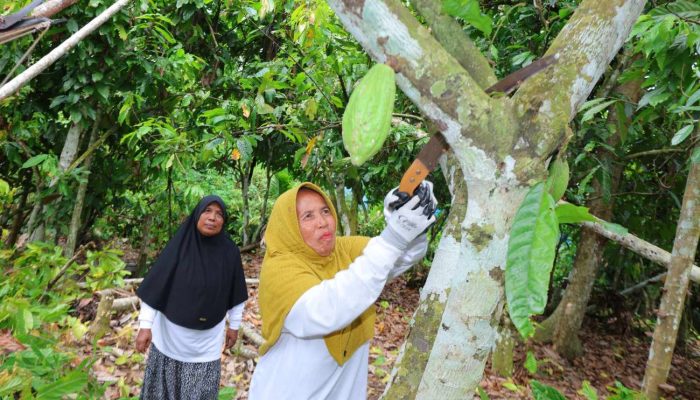 Dari Duka ke Daya, Perempuan Kepala Keluarga Bangkit Mandiri