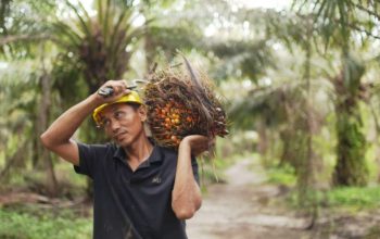 Ekspor CPO Melonjak 26 Persen, Tembus US$4,69 Miliar