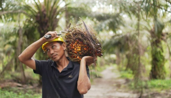 Ekspor CPO Melonjak 26 Persen, Tembus US$4,69 Miliar