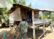 Tim Gabungan Tangkap Perambah Hutan Taman Wisata Alam Seblat