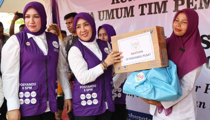 Selamatkan Bayi Saat Banjir, Nakes Aceh Utara Raih Penghargaan Nasional