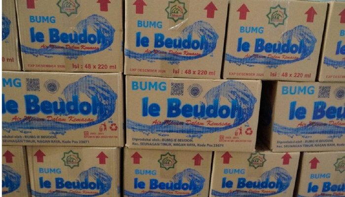 BUMG Ie Beudoh di Nagan Raya Raup Untung Rp12 Juta per Bulan