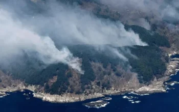 Kebakaran Hutan di Jepang Meluas, 1.400 Petugas Dikerahkan