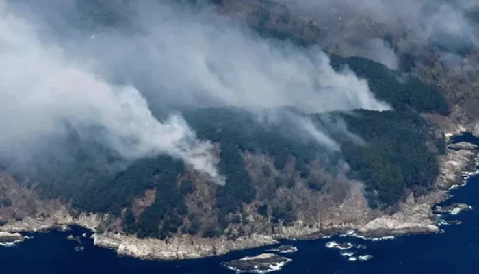 Kebakaran Hutan di Jepang Meluas, 1.400 Petugas Dikerahkan