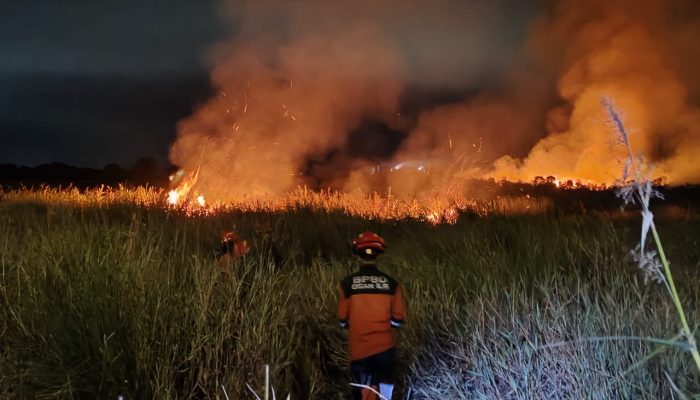 BNPB Catat Banjir, Longsor, Karhutla Landa Sejumlah Daerah