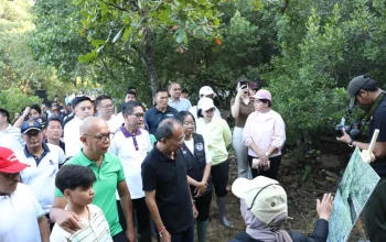 Tanam Mangrove di Bali, Kolaborasi Lintas Sektor Diperkuat