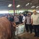 Kontes Sapi Wonosobo Dongkrak Daya Saing Peternak Nasional