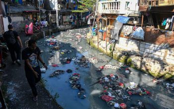 IPB Ungkap Ciliwung “Sakit”, Ikan Sapu-Sapu Dominasi Ekosistem