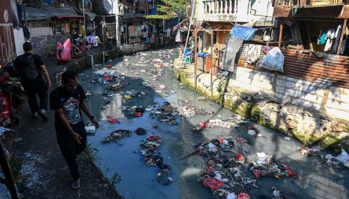 IPB Ungkap Ciliwung “Sakit”, Ikan Sapu-Sapu Dominasi Ekosistem