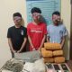 Polisi Gerebek Rumah, 11 Kilogram Ganja Diamankan