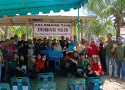 Dosen USU Turun Tangan, Desa Cempa Diperkuat Teknologi