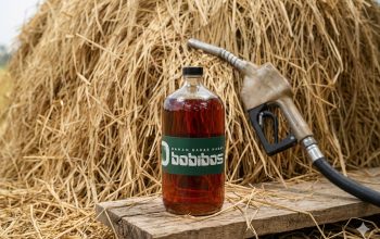 Uji Bobibos Dipercepat, Pemerintah Pastikan Standar Bahan Bakar