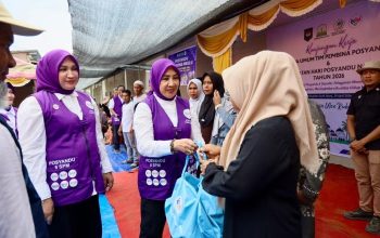 Tri Tito Karnavian Sosialisasikan 6 SPM Posyandu di Aceh