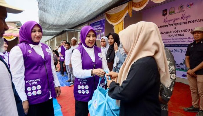 Tri Tito Karnavian Sosialisasikan 6 SPM Posyandu di Aceh