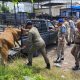 Satpol PP Tertibkan Ternak Berkeliaran di Aceh Besar