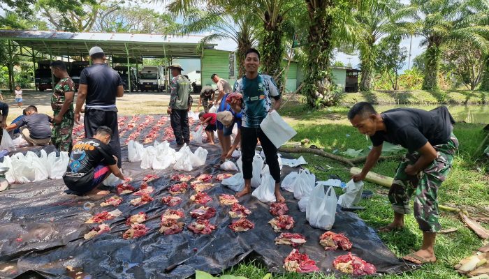 Kodim 0111/Bireuen Salurkan Daging Kurban untuk Warga