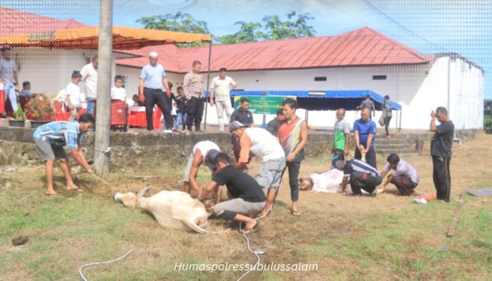 Polres Subulussalam Sembelih 10 Hewan Kurban pada Iduladha