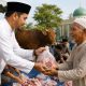 Pemko Banda Aceh Prioritaskan Kurban untuk Wilayah Bencana