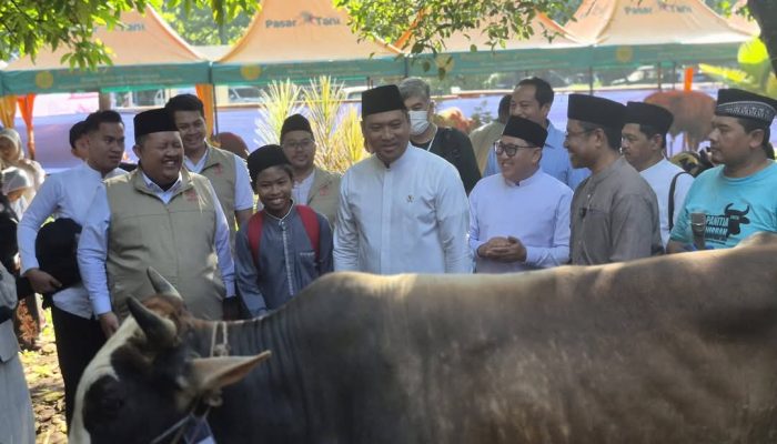 Wamentan: Iduladha Jadi Momentum Kebangkitan Peternak