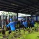 Isu Kelangkaan Gas LPG 3 Kg di Aceh, Begini Tanggapan Pertamina