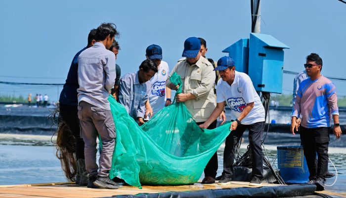 Prabowo Panen Udang Kebumen, Targetkan Indonesia Nomor Satu Dunia
