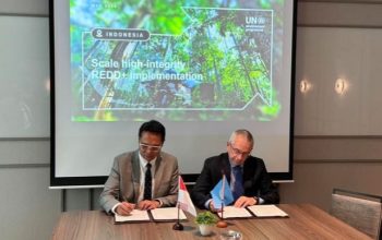 lKemenhut dan UNEP Perkuat Kerja Sama REDD+