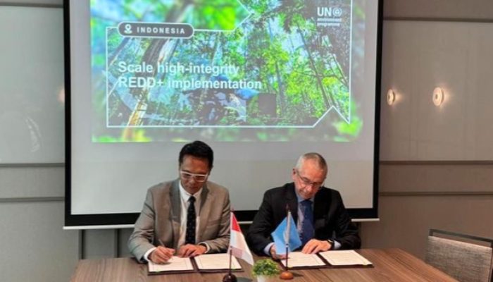 lKemenhut dan UNEP Perkuat Kerja Sama REDD+