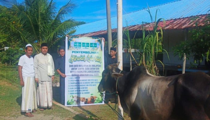 NU Lhokseumawe Salurkan Kurban untuk Korban Banjir dan Santri