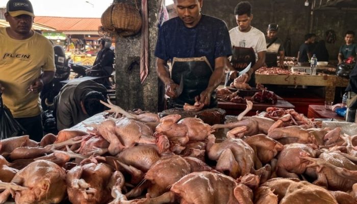 Hari Meugang Harga Ayam Potong Ikut Naik di Lambaro