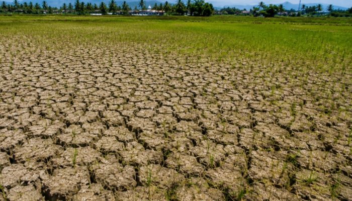 BMKG: Sebagian Wilayah Aceh Masuki Musim Kemarau, Waspada Karhutla