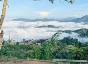Libur Iduladha, Ribuan Wisatawan Serbu Negeri di Atas Awan Kilonam Geumpang