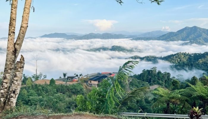 Libur Iduladha, Ribuan Wisatawan Serbu Negeri di Atas Awan Kilonam Geumpang