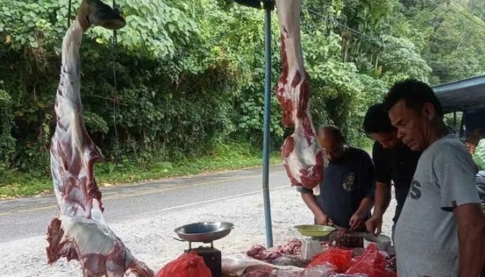 Stok Daging dan Hewan Kurban di Aceh Selatan Mencukupi