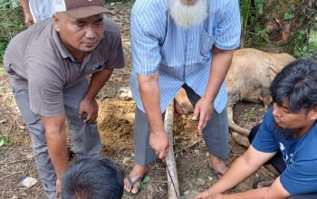 Mantan Pengurus Gereja Kini Mampu Berkurban di Iduladha