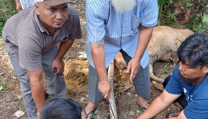 Mantan Pengurus Gereja Kini Mampu Berkurban di Iduladha