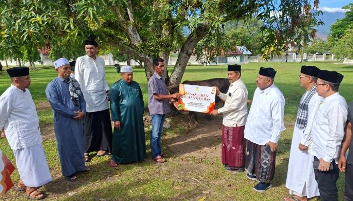 Pemkab Aceh Besar Salurkan Hewan Kurban untuk Masyarakat