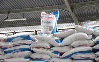 Harga Global Naik, Pemerintah Justru Tekan Harga Pupuk Bersubsidi