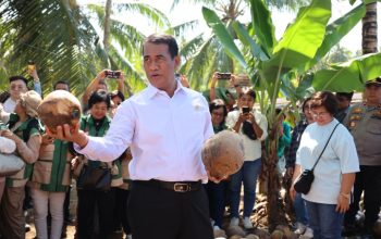 Mentan Temukan Ketidaksesuaian Bibit Kelapa di Manado
