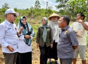 Kementan Perkuat Pengawalan Program Pertanian di 38 Provinsi