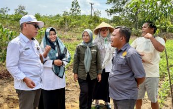 Kementan Perkuat Pengawalan Program Pertanian di 38 Provinsi