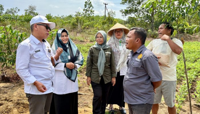 Kementan Perkuat Pengawalan Program Pertanian di 38 Provinsi