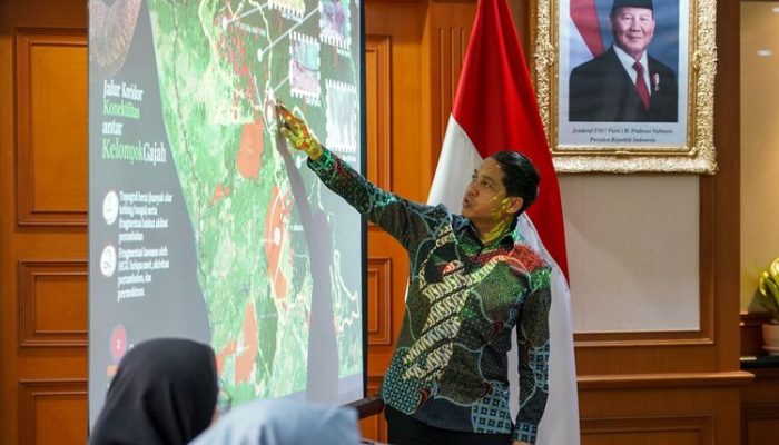 Terancam Punah, Pemerintah Siapkan Inpres Penyelamatan Gajah