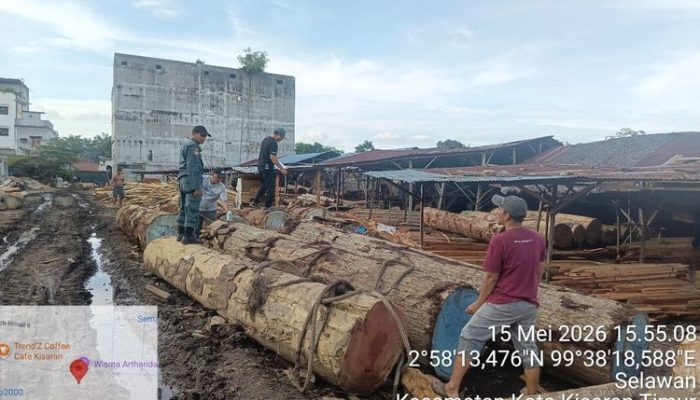 Kemenhut Sita 1.677 Batang Kayu Diduga Ilegal di Sumut