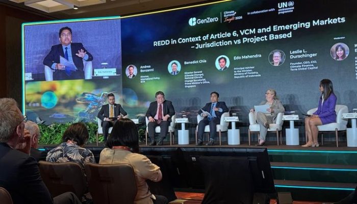 Indonesia Promosikan Pasar Karbon Kehutanan di Forum Global
