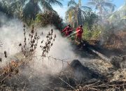 Tim Manggala Agni Intensif Padamkan Karhutla di Riau