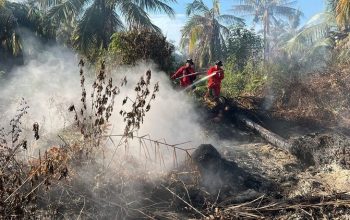 Tim Manggala Agni Intensif Padamkan Karhutla di Riau